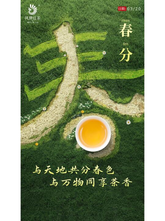 春分丨不负春光不负茶