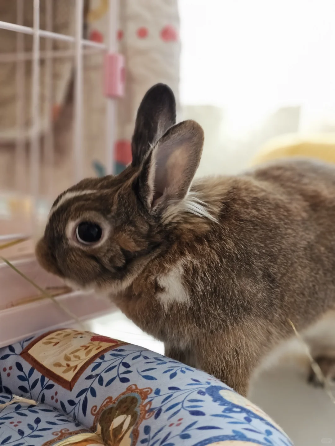 你是来串门的，不是来当小偷的