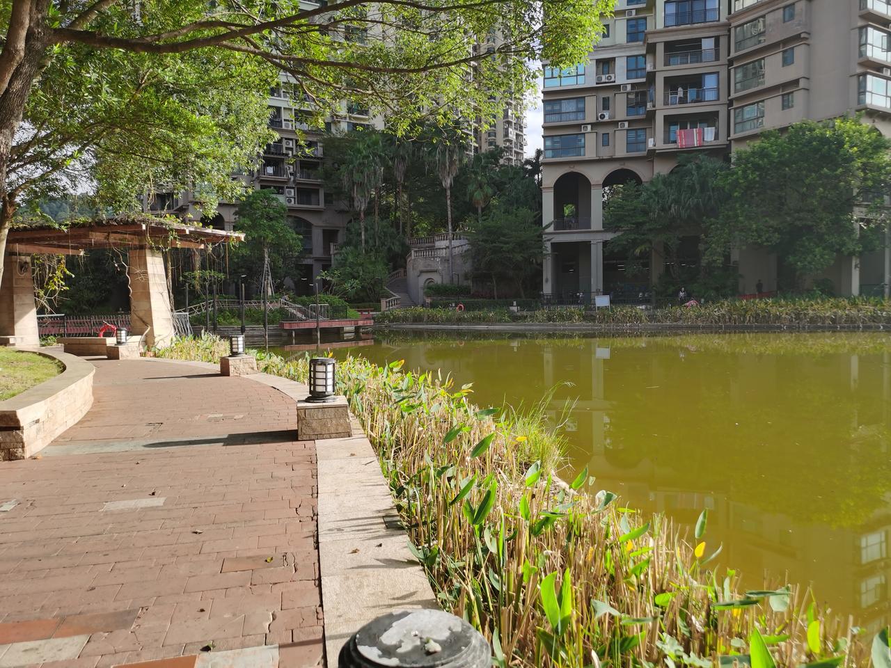 下午出门取快递，在驿站碰到邻居刘姐，她一番话让我心里直打鼓。
有一阵子没见到她了