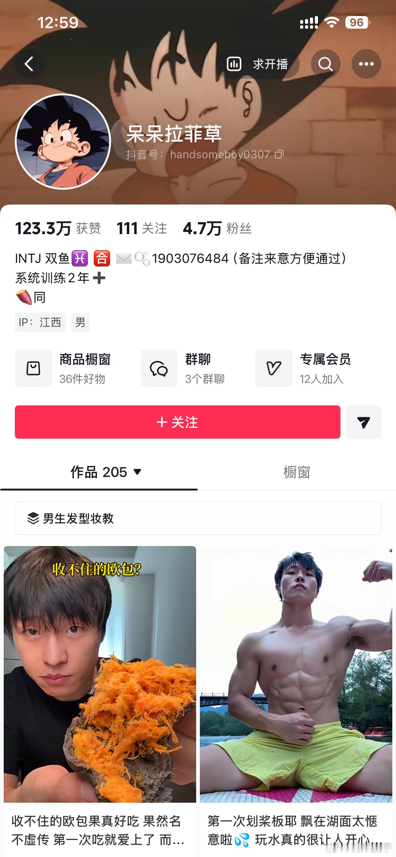呆呆拉菲草 ​​​