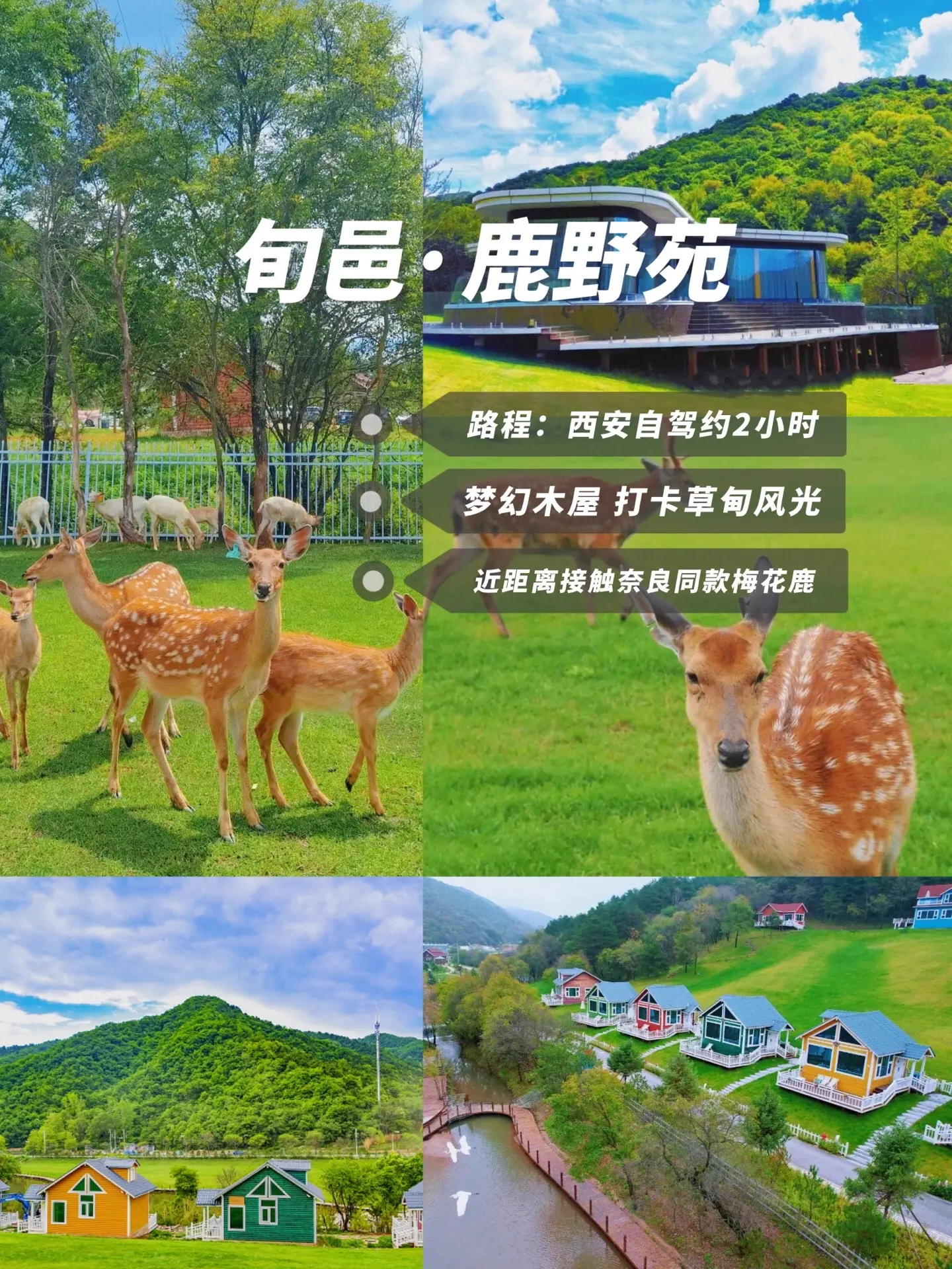 不用出陕西，中秋假期西安周边小众二日游。出去耍两天，再留一天给家人吧！