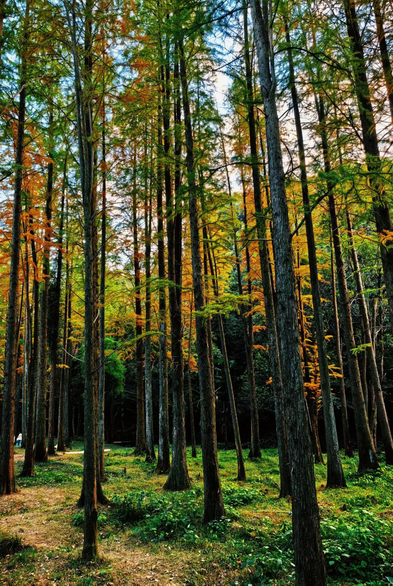 现在整个大盘给我的感觉是，很多人不相信明天会涨，对大盘缺乏信任感，为什么会出现这