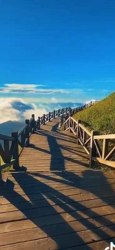 人来这世上走一遭究竟为啥？我觉得，每个人都有自己的答案。有人为了功成名就，像马云