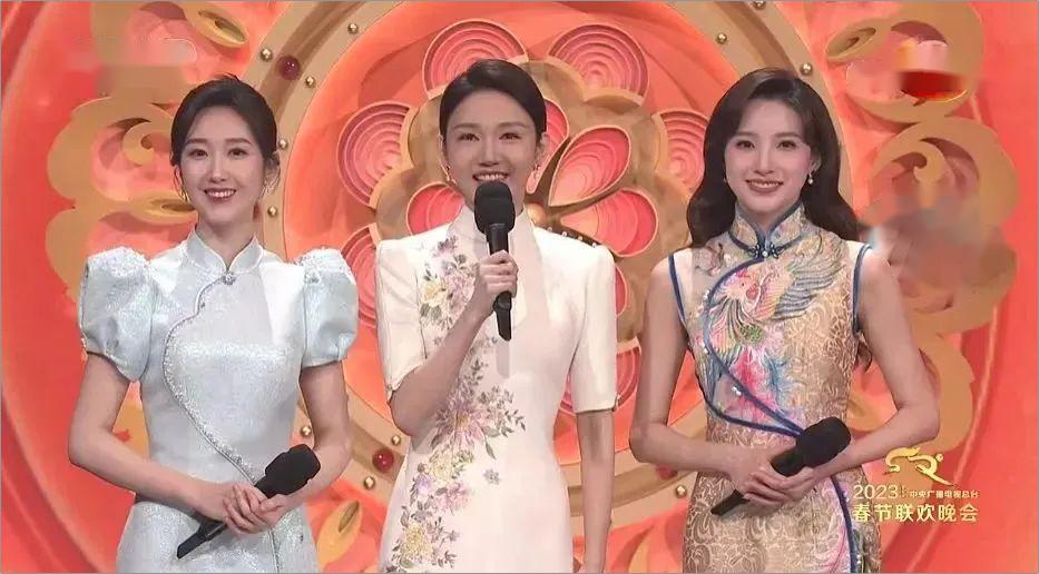 “踢走”董卿，屡次出错却被央视力捧，这位80后女主持有何魅力
龙洋作为主持人，曾