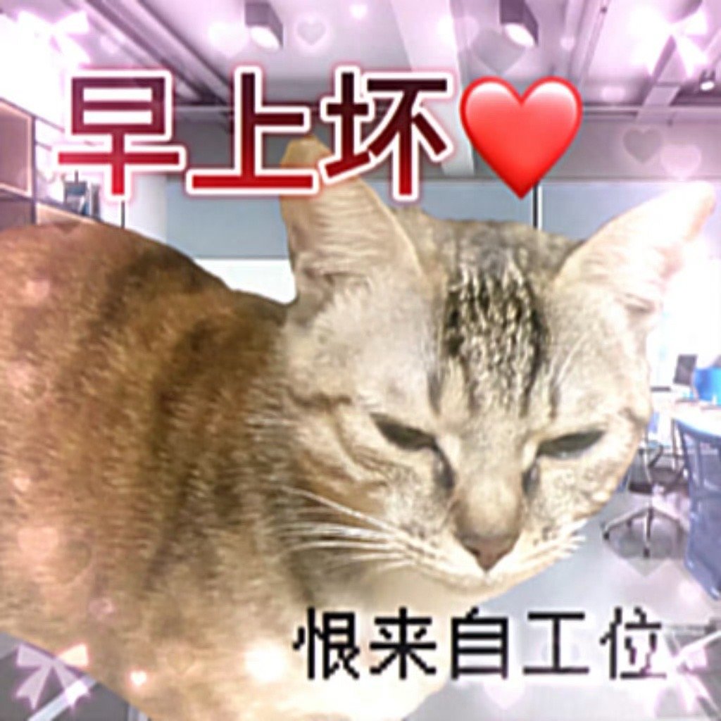 小猫表情包恨来自工位[伤心] ​​​