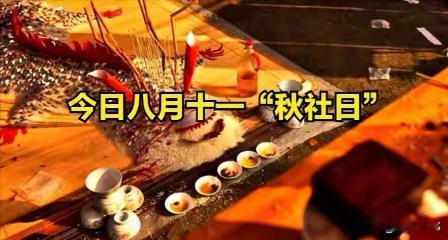 “八月怕十一”，今日八月十一，恰逢秋社日，有啥好怕的？答案来了
 
农历八月十一