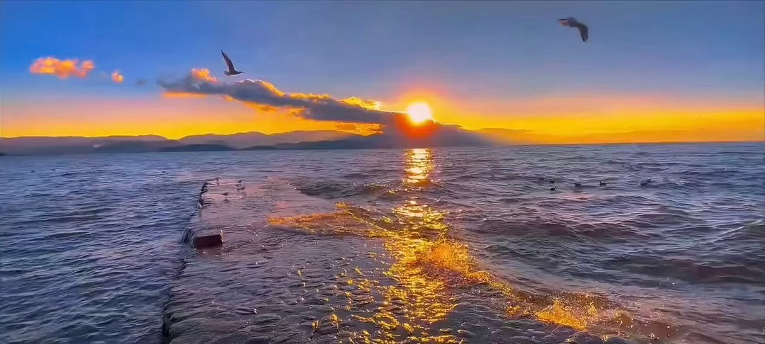 不必焦虑花期，你只管向阳生长，美好总会如期而至。把烦恼轻轻放下，好好爱自己，就是