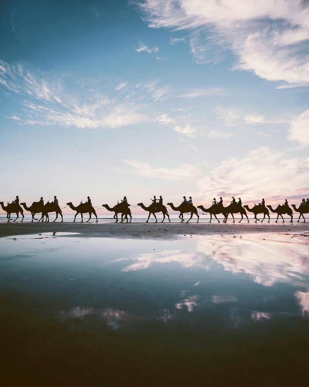 人生一切美好经历的魅力就在于不可重复。——周国平 ​​​