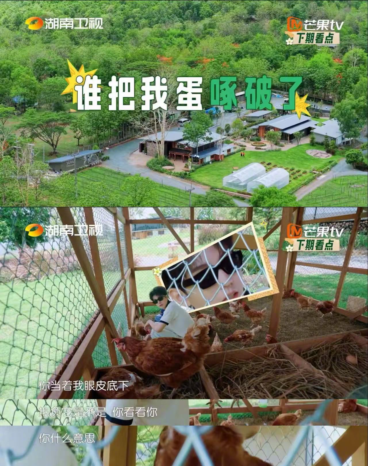 王俊凯整治鸡圈霸凌 王俊凯对待小动物真的是又温柔又有原则，面对调皮的小鸡直接上手