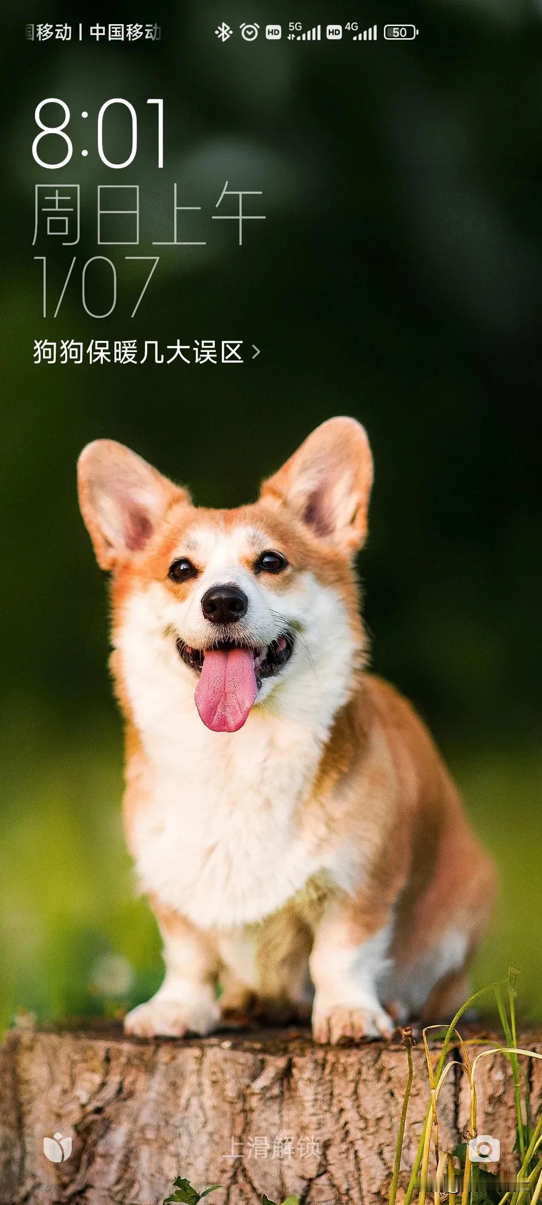 #记录我的2024#对2024年，有满腹的豪言壮语，更有无限的憧憬。
这一年，我