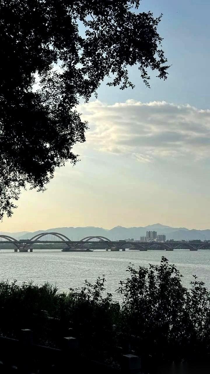 老公提着行李箱前脚刚走，客厅饮水机就彻底见了底。
我两只手死死卡着那桶四十斤重的