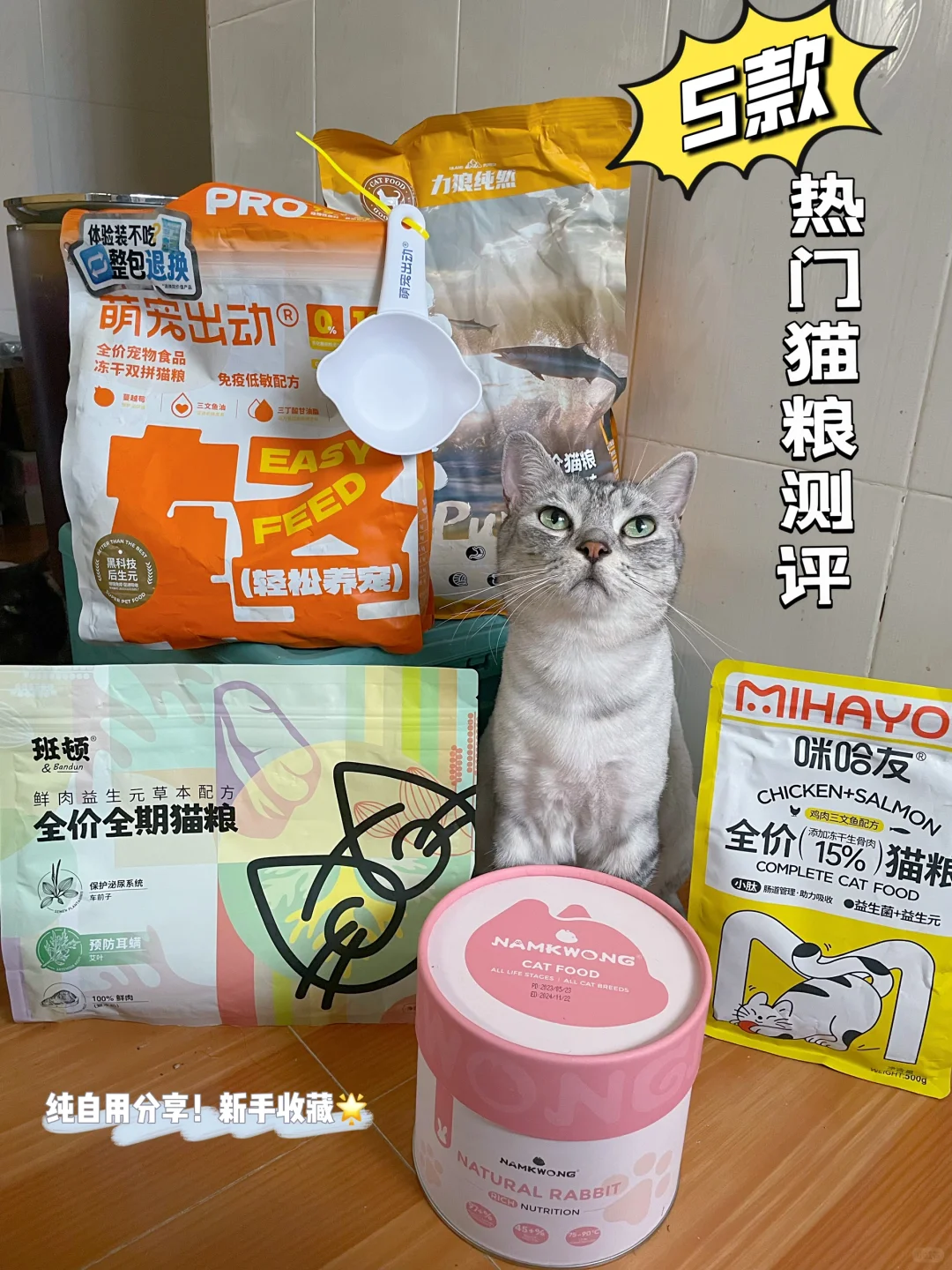 5款猫粮真实喂养分享！纠结选粮的铲屎官看