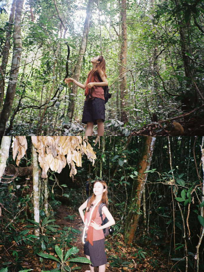 李兰迪好阳光好明媚