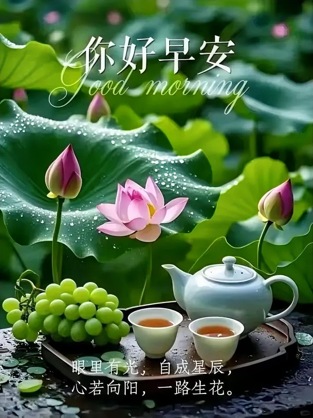 你好早安！荷塘晨露晶莹，茶香葡萄清甜，眼里有光自成星辰，心若向阳一路生花～