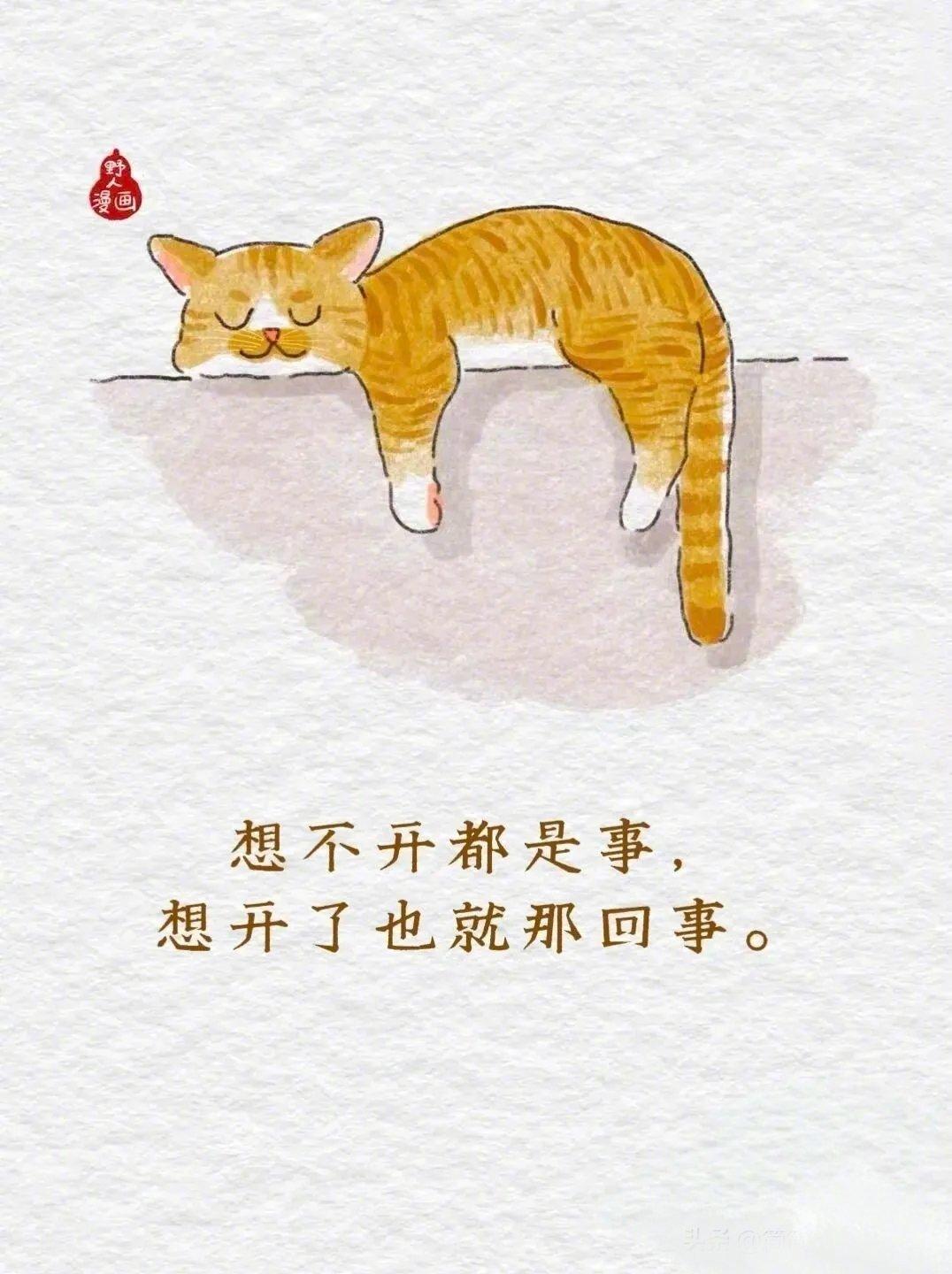 笑完又破防！当代成年人嘴替漫画✨
 
这组漫画简直是成年人真实写照。
✅吾日三省