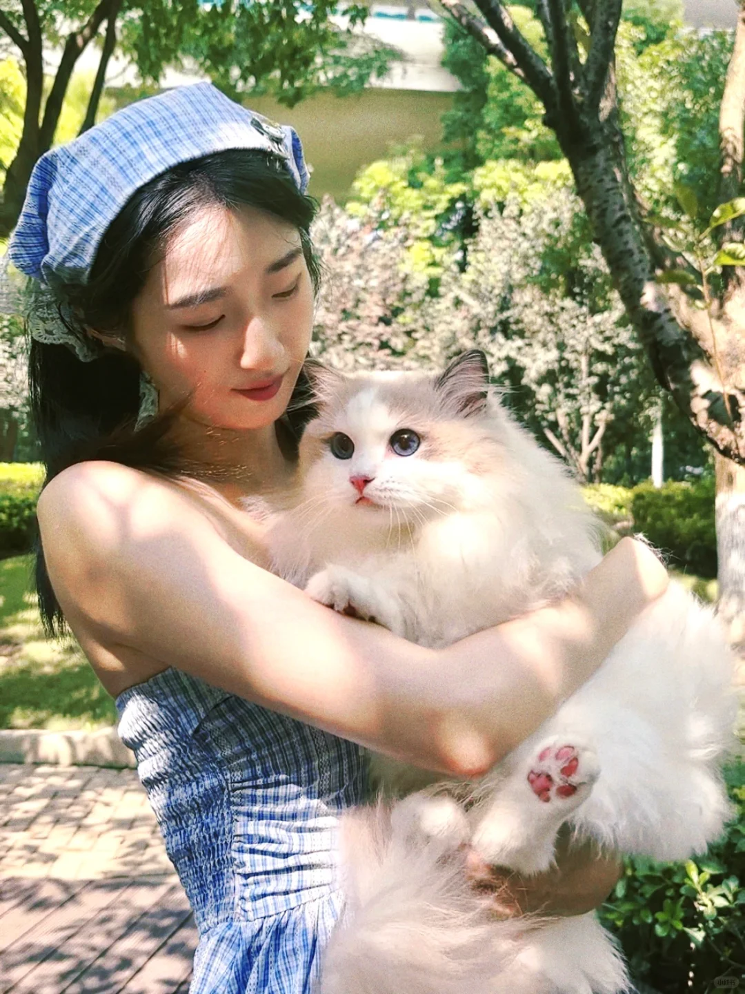 猫猫我啊，占据我妈手机大部分内存