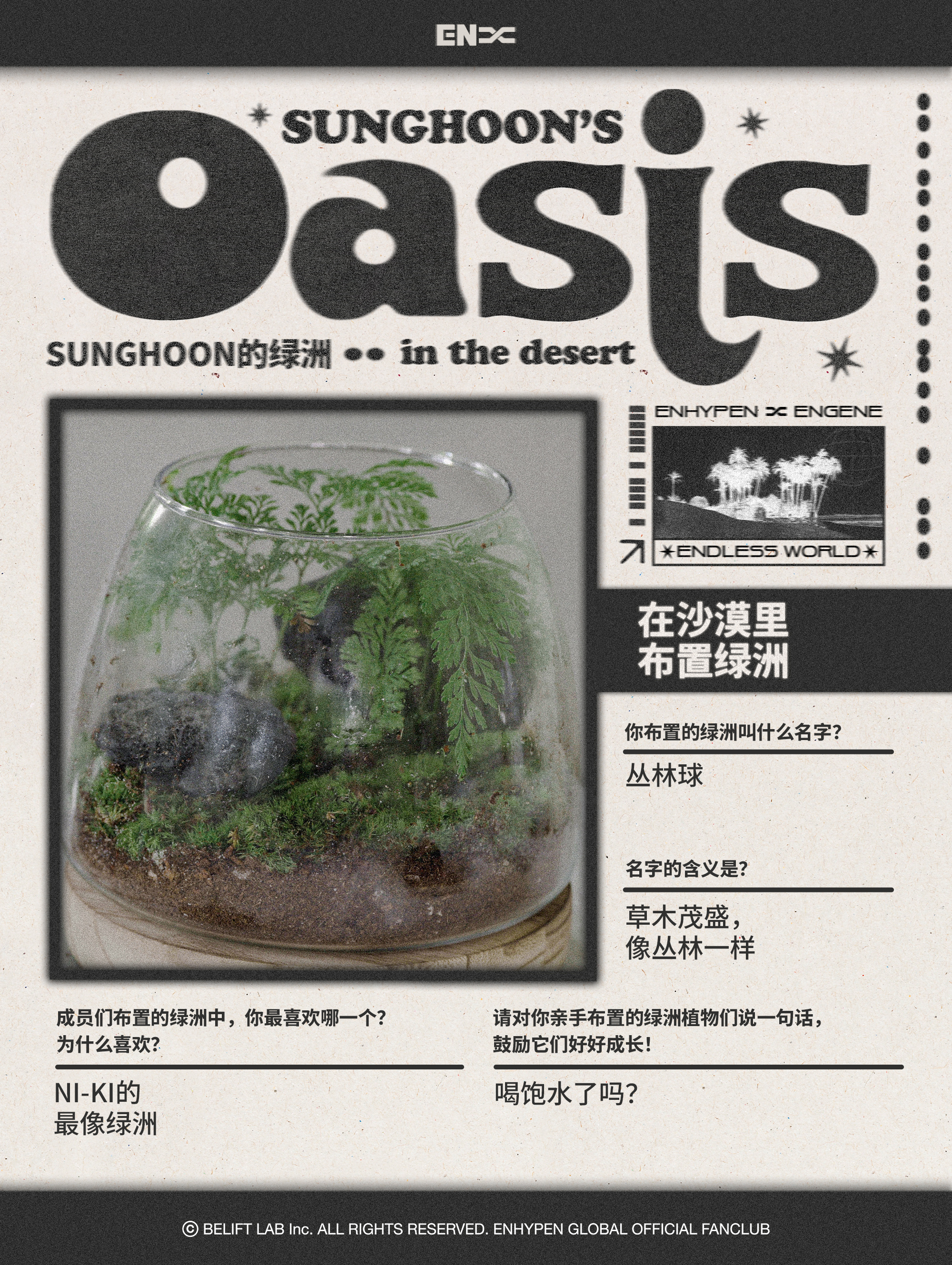 Oasis in the Desert 🏜️ · 绿洲的名字和含义？丛林球。因