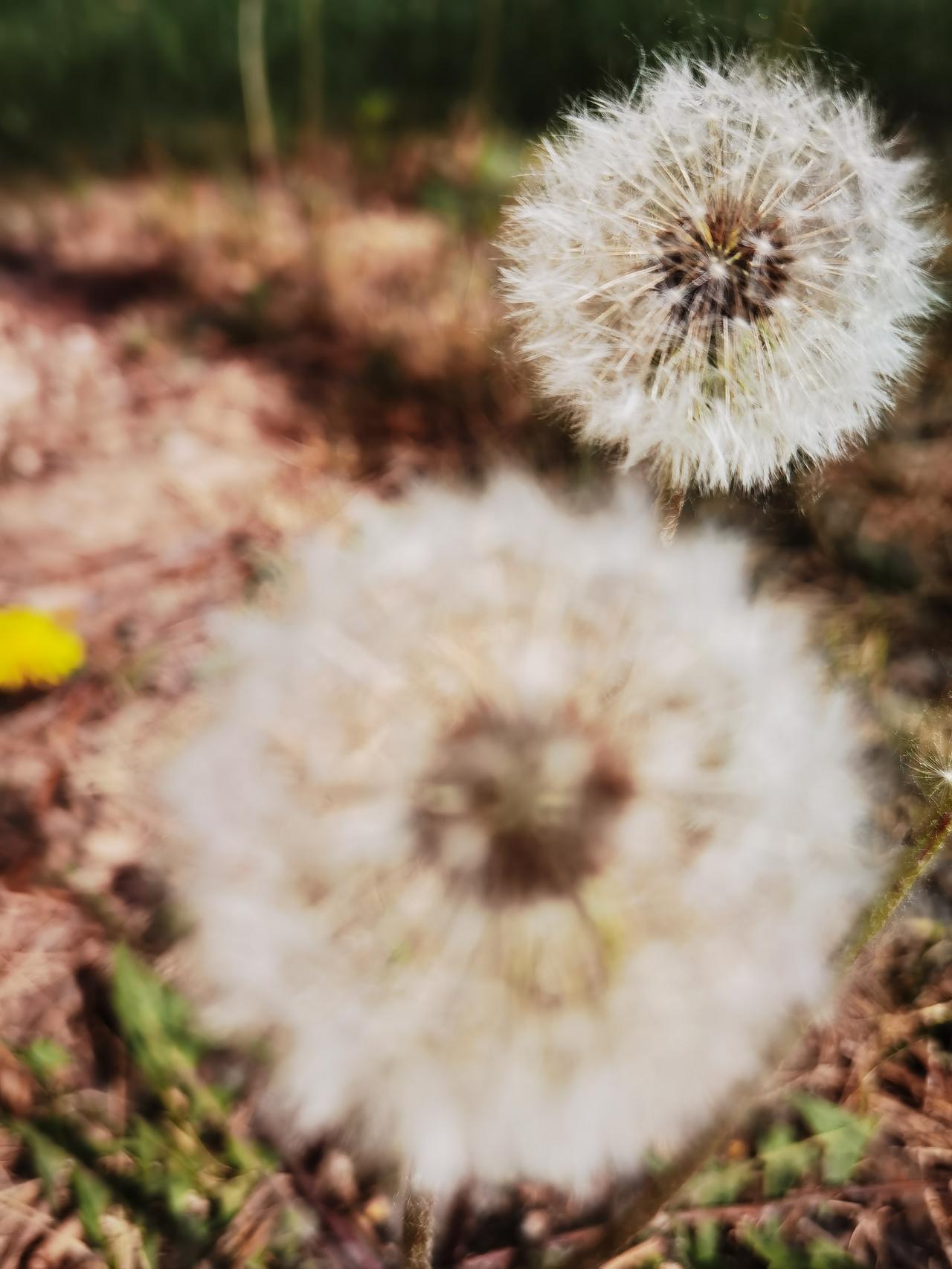 异性朋友之间拥抱牵手还是要有边界感，更重要的是要有分寸感，把握个度，这才是相处之