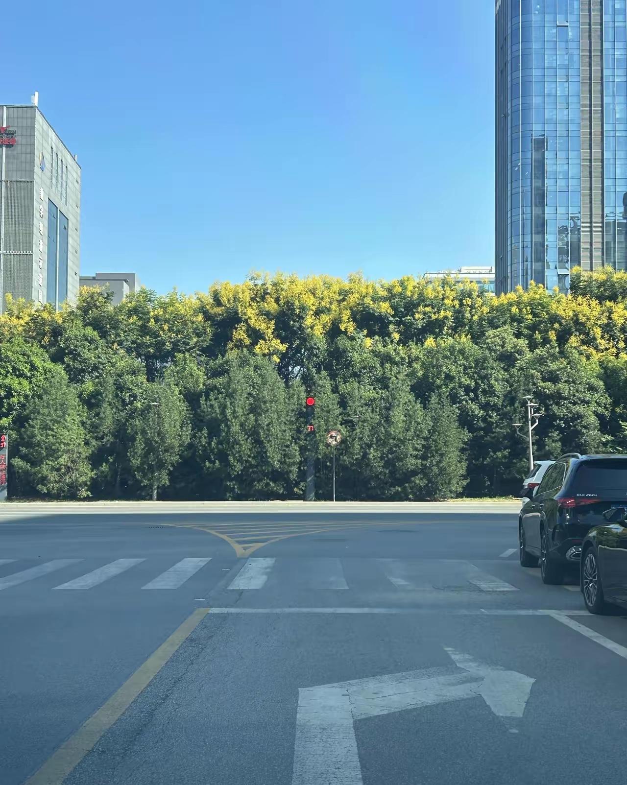 不懂就问！
你们在西安街头遇到过这种交通信号灯🚥吗？着实分不清了。
作为一名老