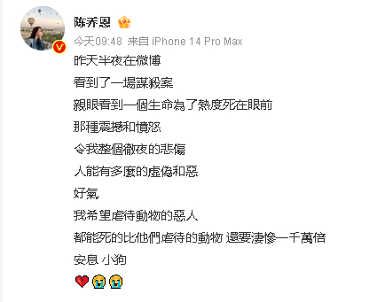 陈乔恩为网红狗艾特发声  愿每只小可爱都能被善良对待  