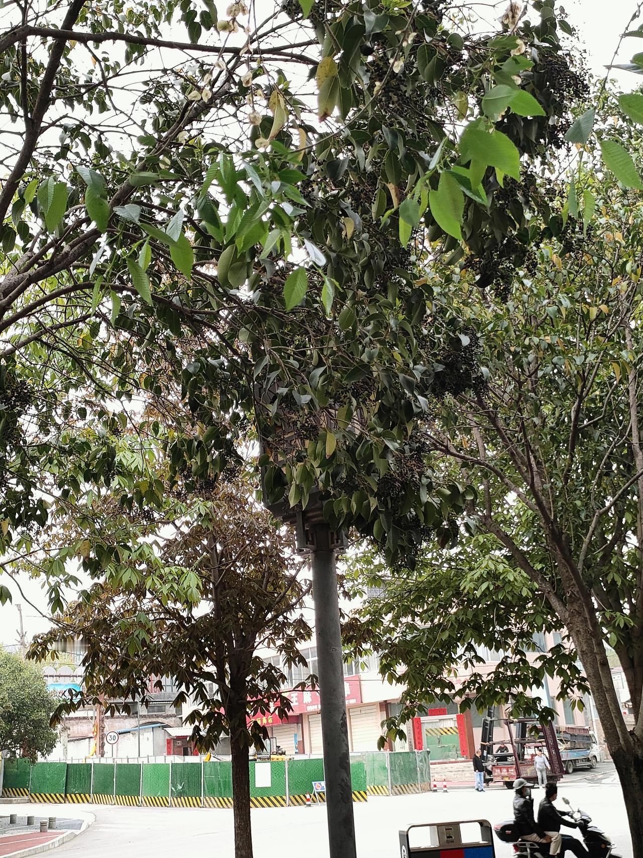 往后余生，愿我们都能练就一双看透人心的眼睛，也拥有一份闭口不言的格局，用心识人，