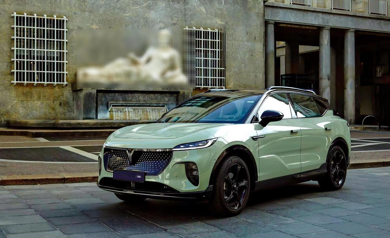 【24 款电动车挪威-30℃极寒测试出炉！中国品牌位居前列！】
最近挪威汽车协会