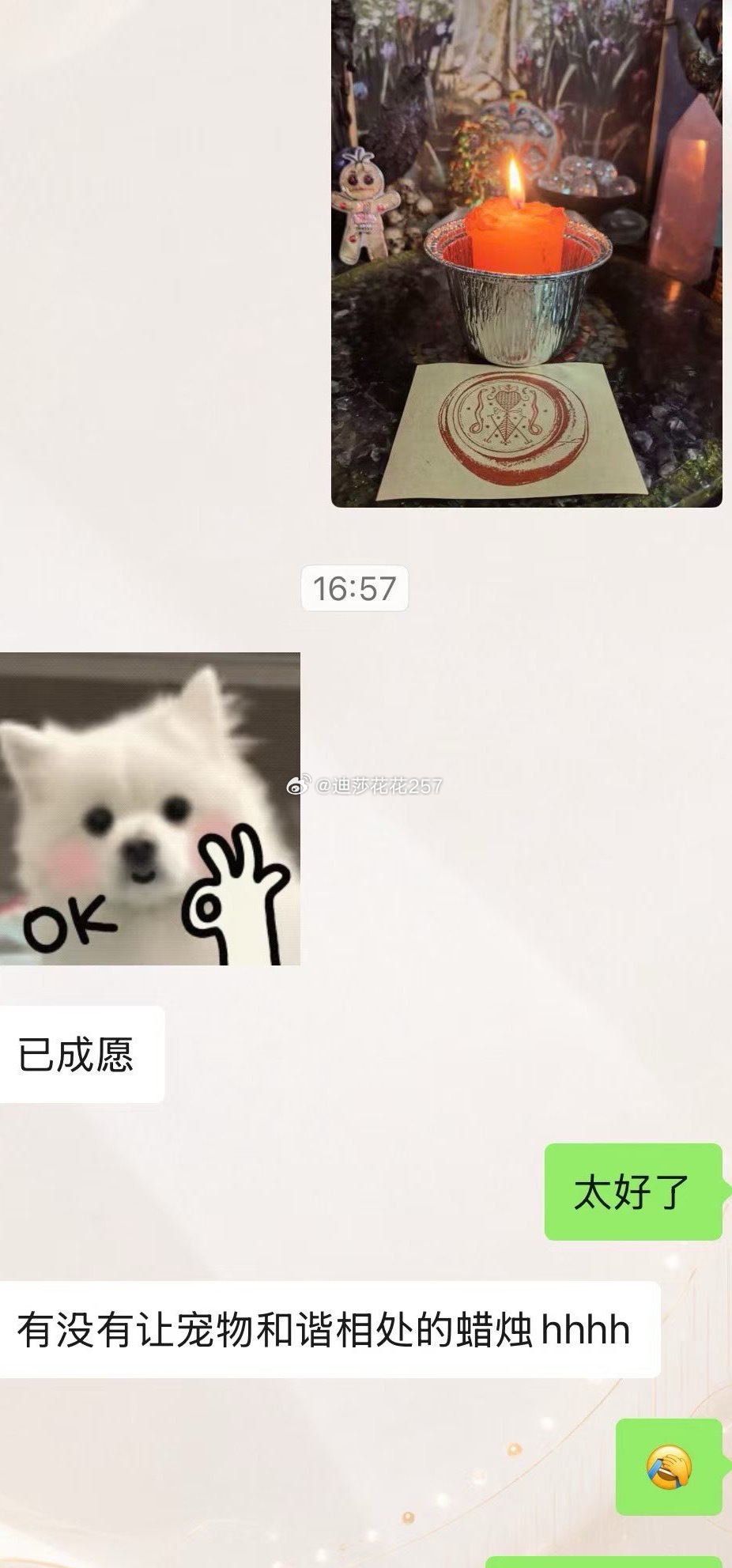 随便抓几个朋友上个电视！我们就下班啦！！！大家期待一下我们的新品！！这次特别多新