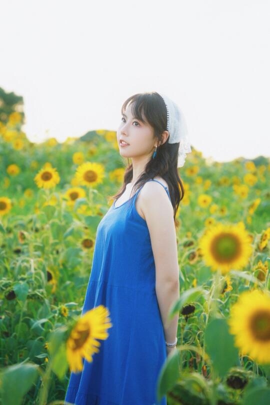 又见花开🌻 苏州超小众向日葵花海都开好啦