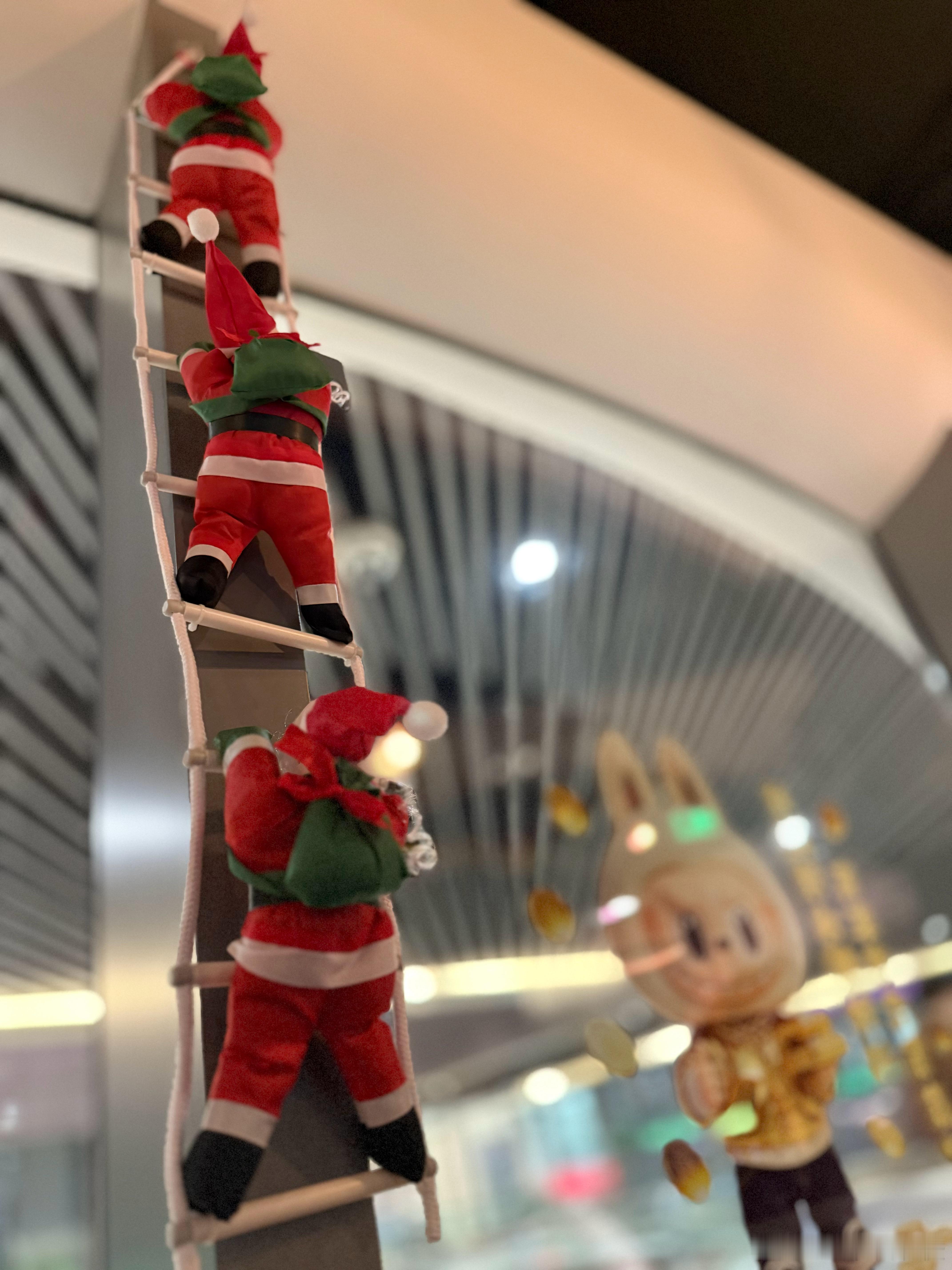 餐厅开始有圣诞🧑🎄气氛了 我的日常plog 上海·上海白玉兰广场