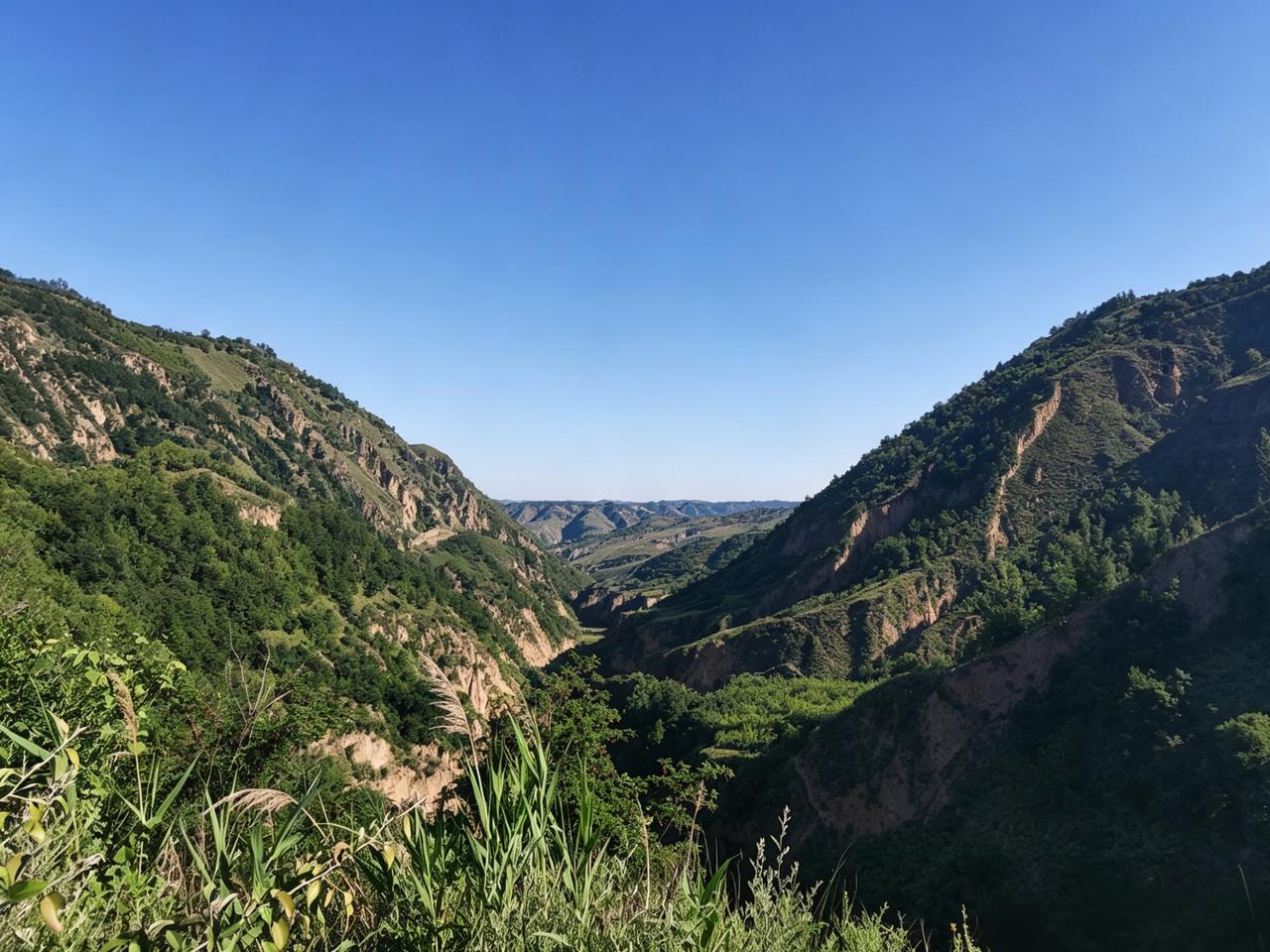 黄土色
天地被拉成两半
一半是千沟万壑的绿
一半是万里无云的蓝
风在中间穿行
不