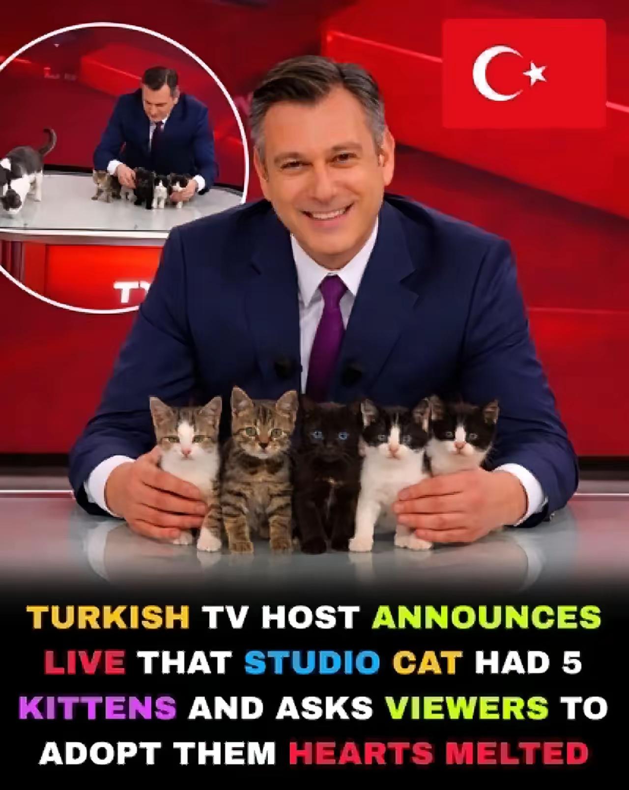 看看图片里的帅大叔，那个笑容，就让善良这个词，有了具象的样子。
这是个有意思的事