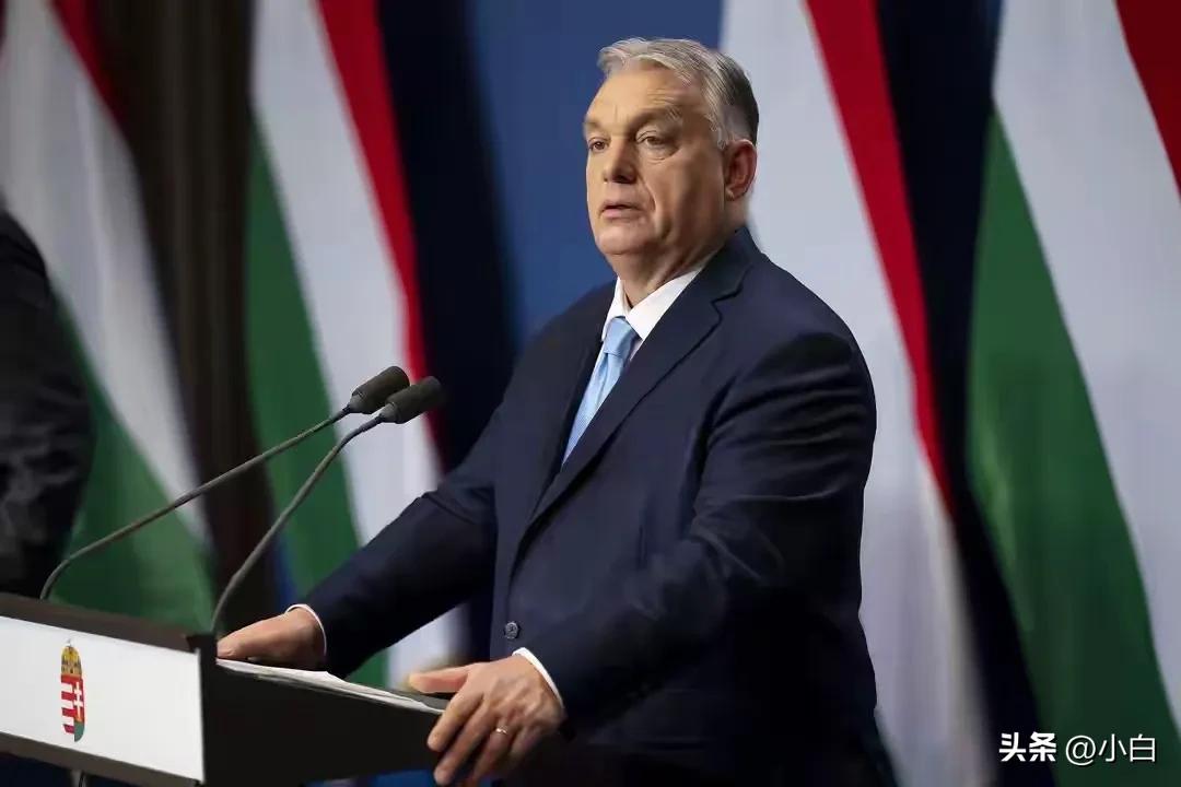 欧尔班乱了方寸。

当地时间23日，匈牙利总理欧尔班表示，他已指示司法部长立即调