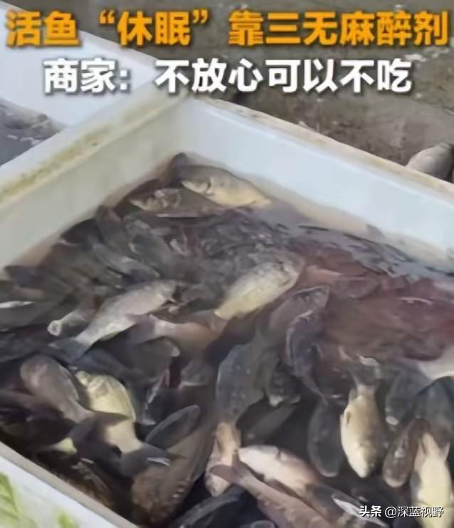 太恶心了，央媒曝光活鱼内幕！
​3月23日，据央媒报道，中国多地水产市场为方便运
