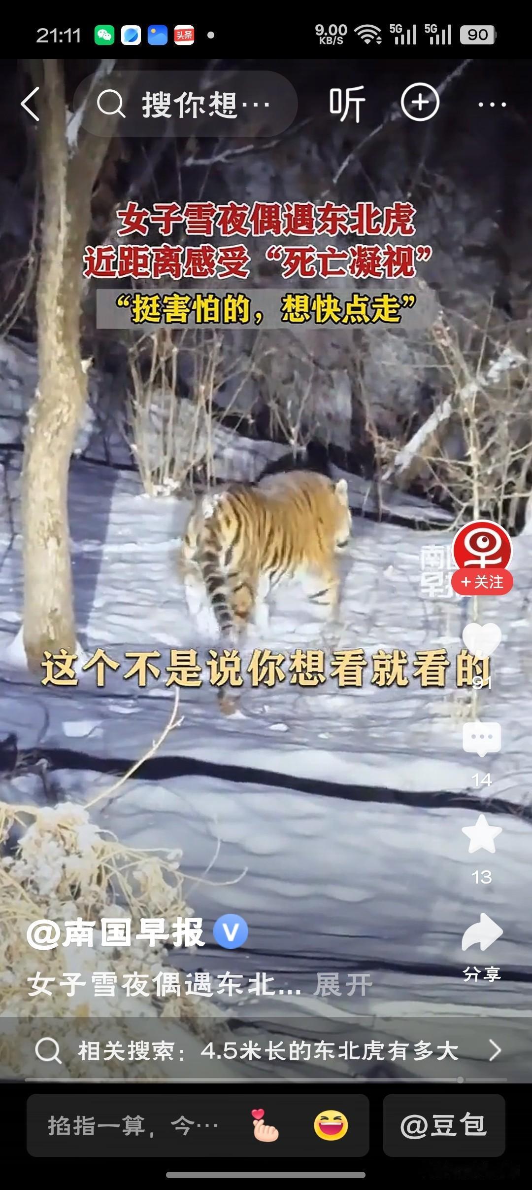 感受“死亡凝视”