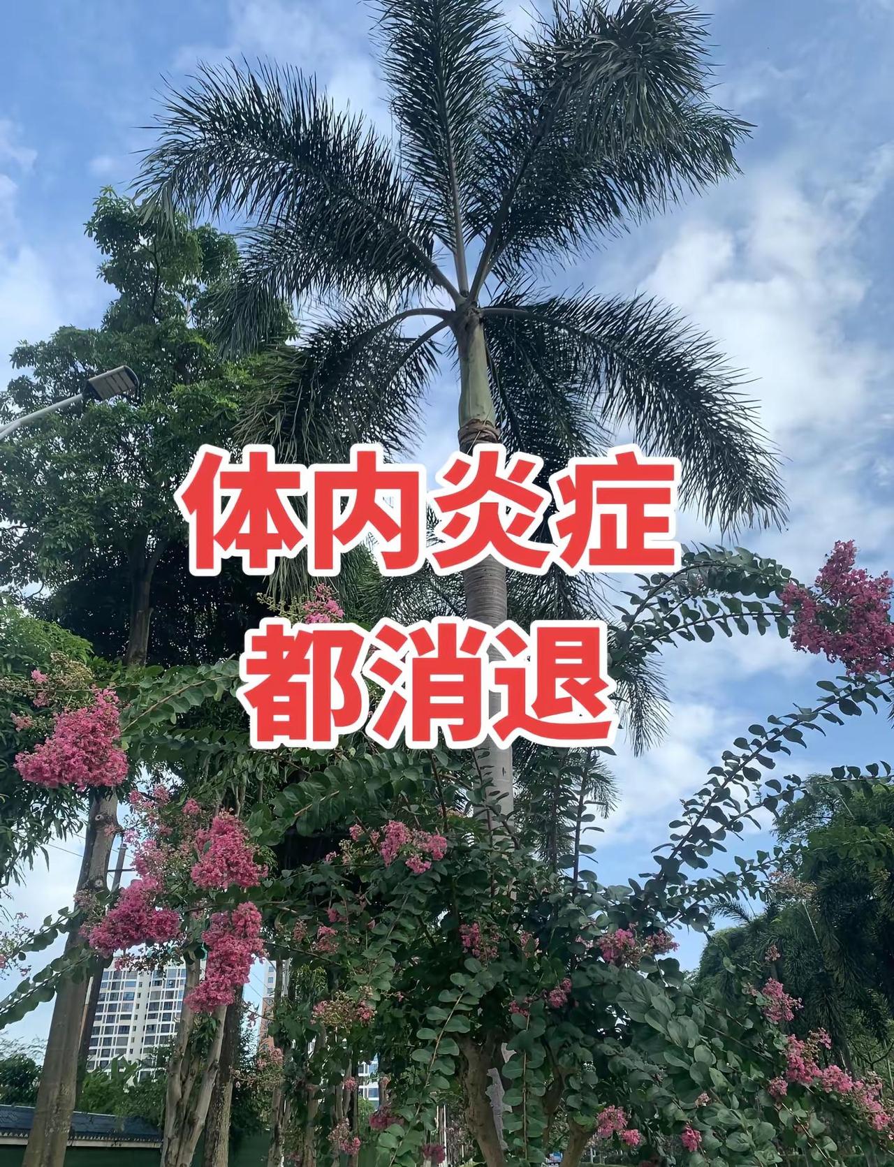 太燃了！吴宜泽决胜局绝杀墨菲，直接拿下世锦赛总冠军，直接成为史上第一个00后世锦