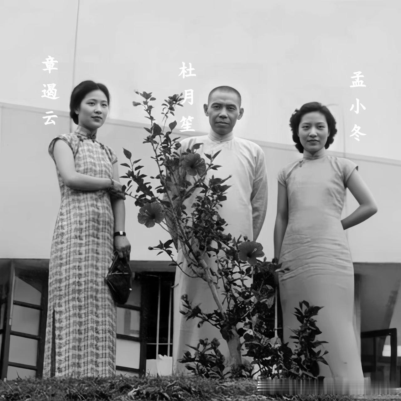 1936年上海青帮大佬杜老板与孟小冬