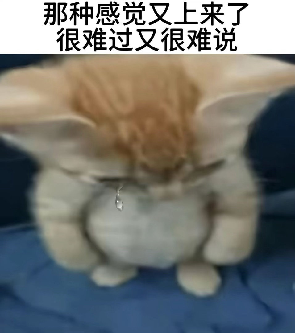 分享图片 