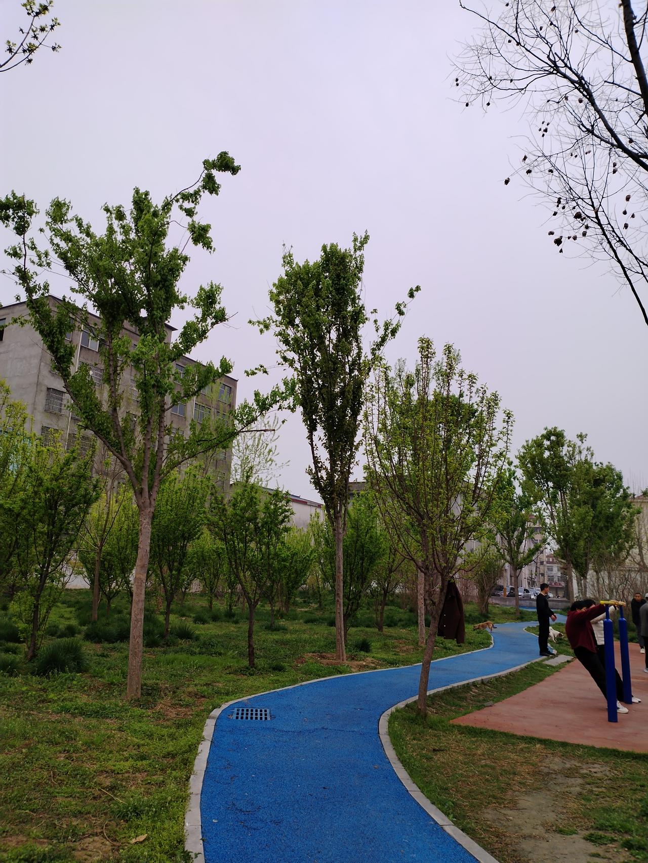 春日生活打卡季，早晨出去散步锻炼身体，在千字文公园随手拍。