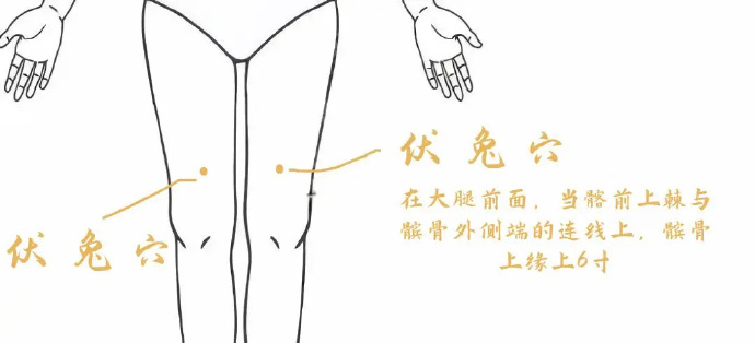 【治疗腰痛腿疼】 穴位养生  现代都市生活中，由于缺乏运动等方而的原因，中年以上