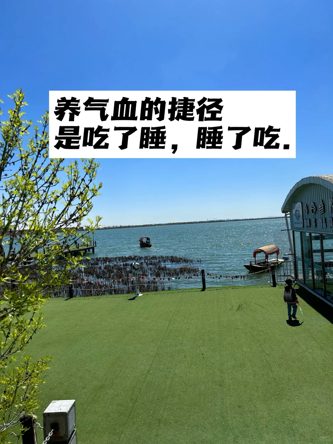 养气血的捷径：是吃了睡，睡了吃.