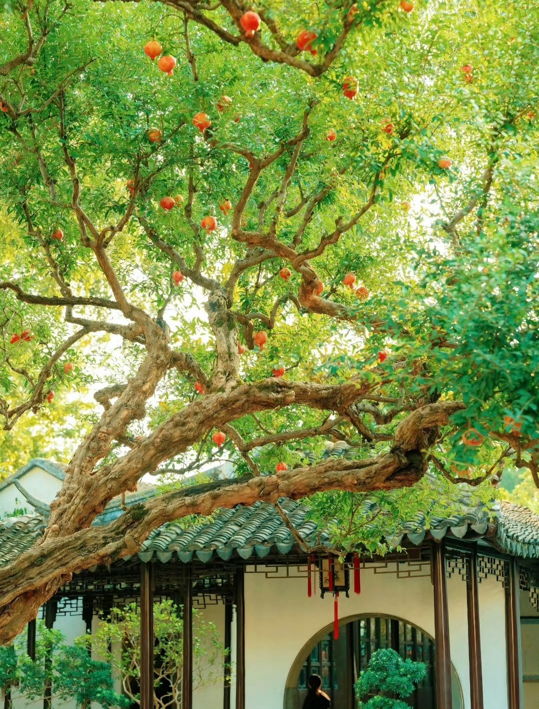 古榭疏窗人独坐， 花深林隐韵无休。 