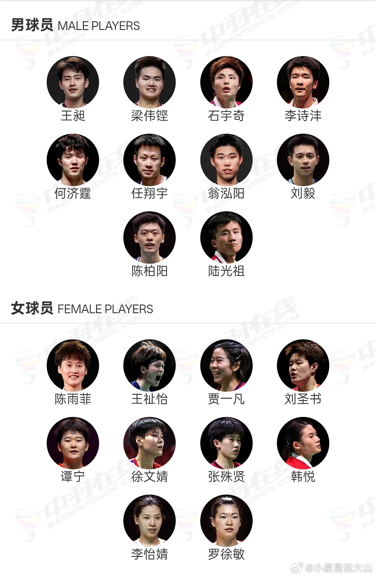 2026年汤尤杯  国羽参赛名单：汤姆斯杯男单：石宇奇、李诗沣、翁泓阳、陆光祖男