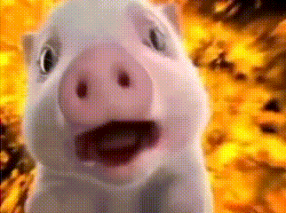 主动投案的王鑫是易烊千玺等人老师 教过的学生多的是，不能因为他们出名就出来说吧中