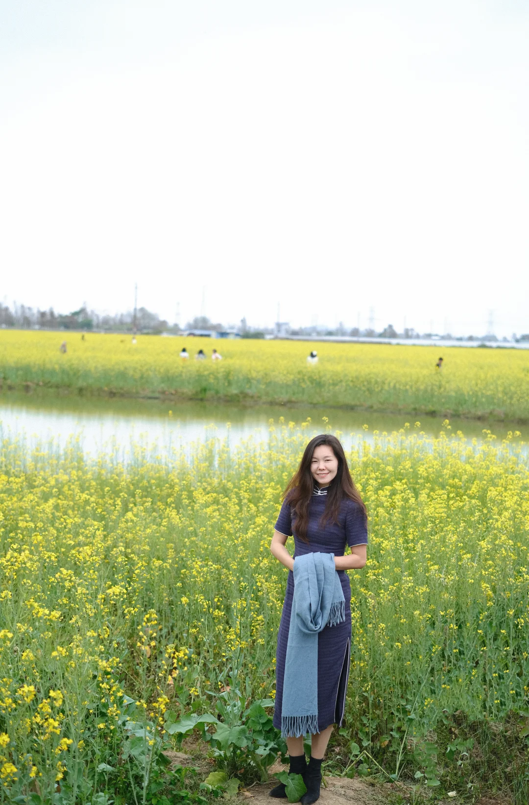 大年初三，2.19珠海斗门免费油菜花实拍