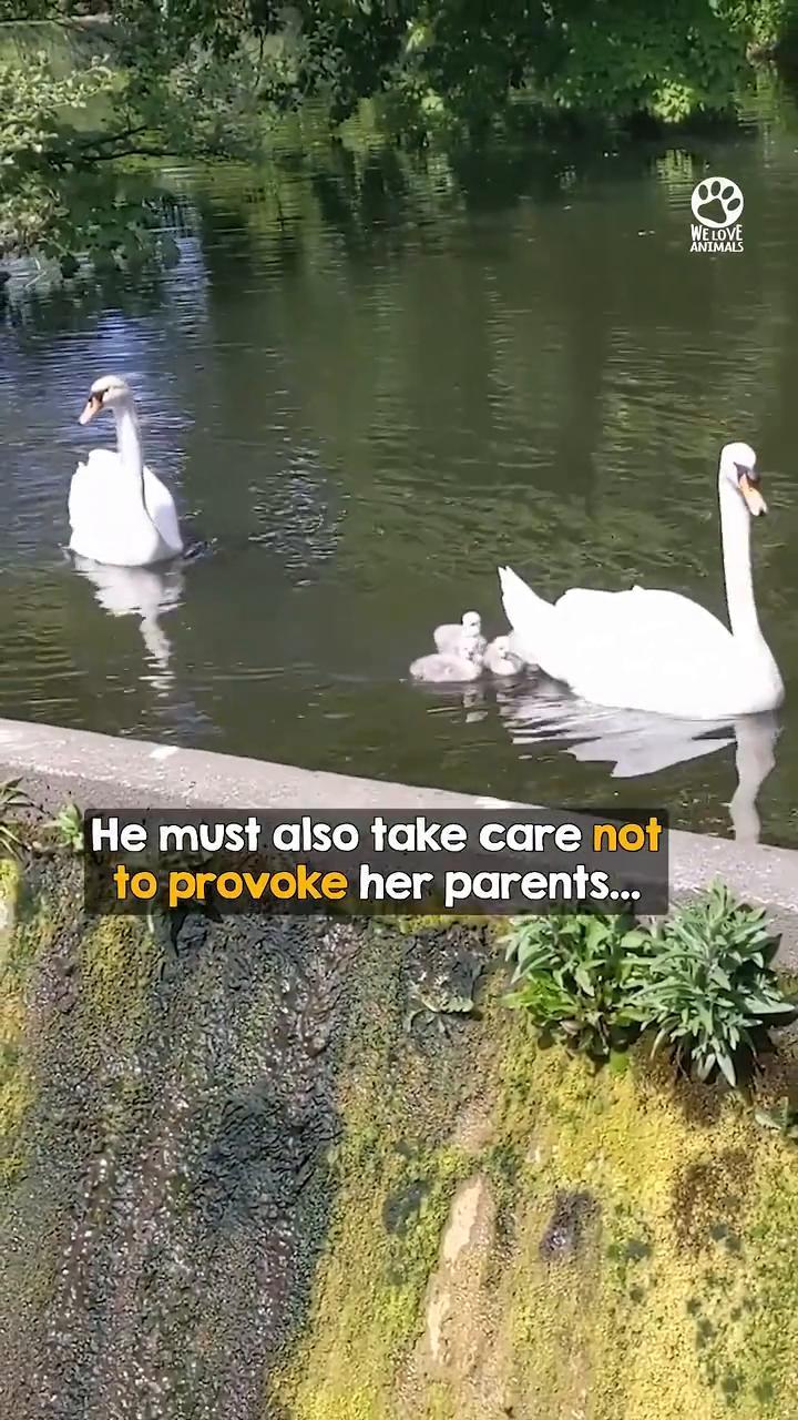 ·who got separated from her family...
·a