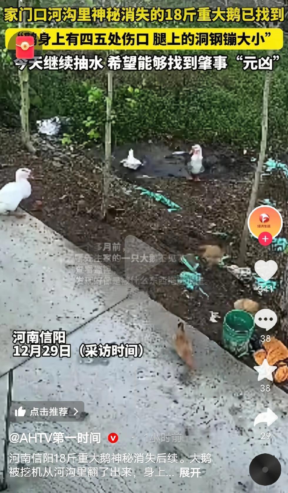 “大鹅消失事件”就像是一本神秘的小说，席卷全网，热搜不断。
大家都很好奇，视频中