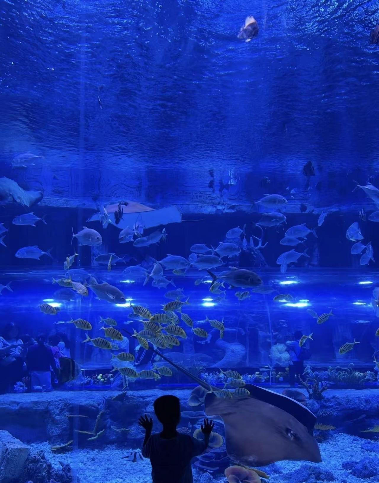 广州海洋世界 海洋生物多样性 广州海洋世界 我的海底世界