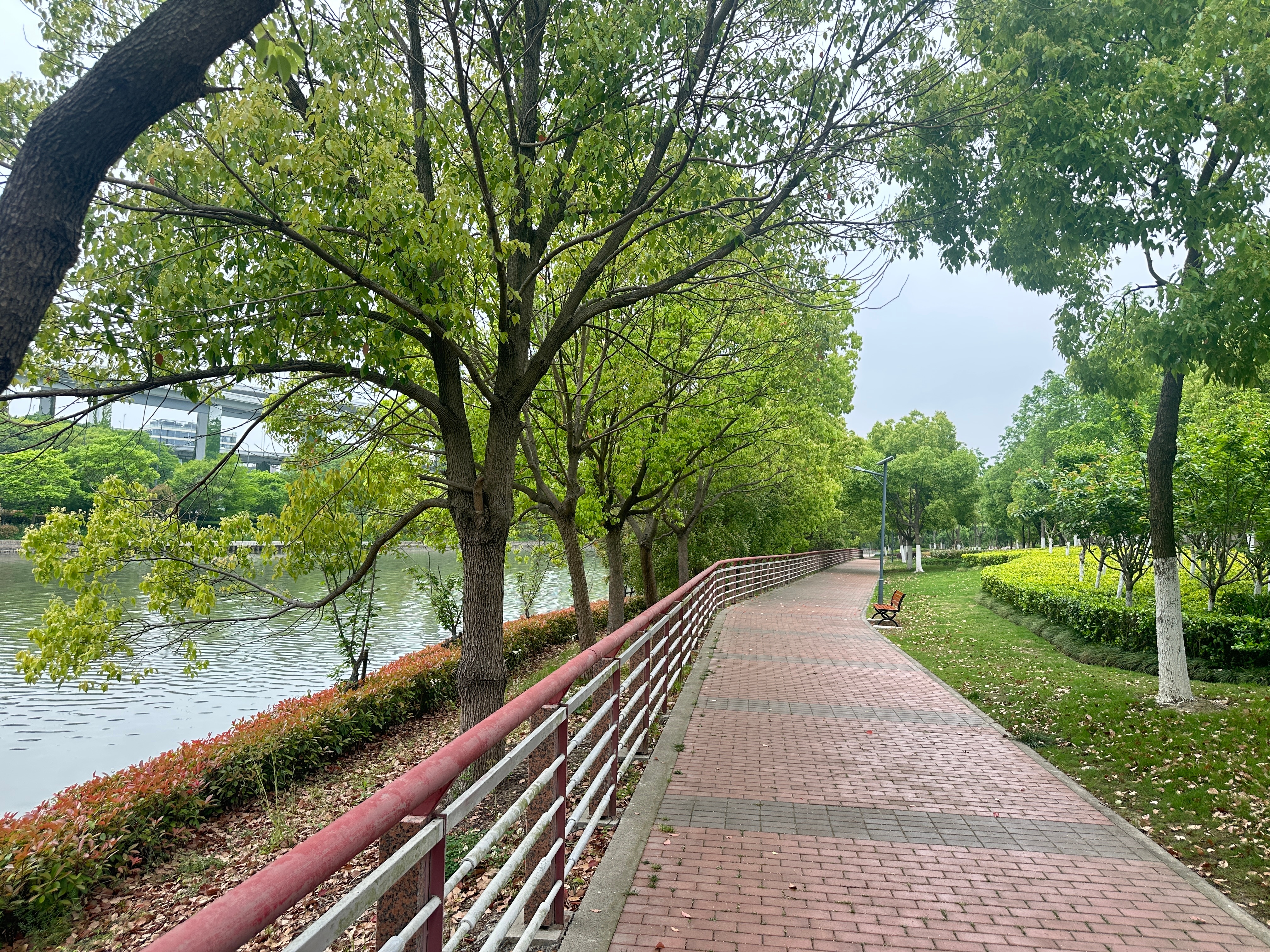告别上海。 ​​​