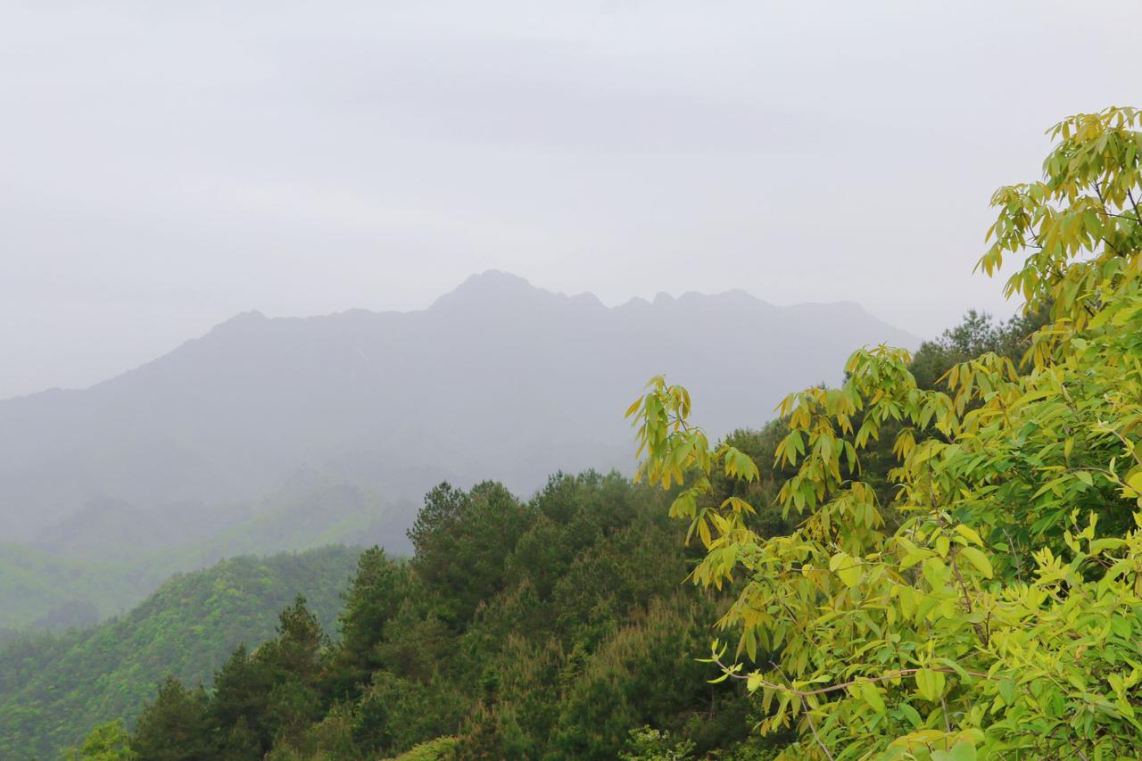 现在为什么会出现很多反智的视频？就是你作为一个正常的人，你都觉得不可思议，怎么会
