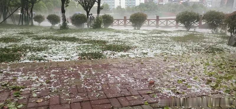 身为农民，我怕的并非劳作的辛苦，而是命运弄人，事与愿违。
满心期待风调雨顺，一场